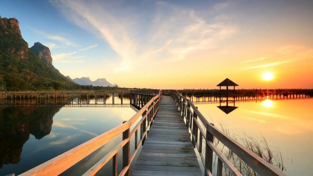 星空集团：健身器材讲解肱二头肌