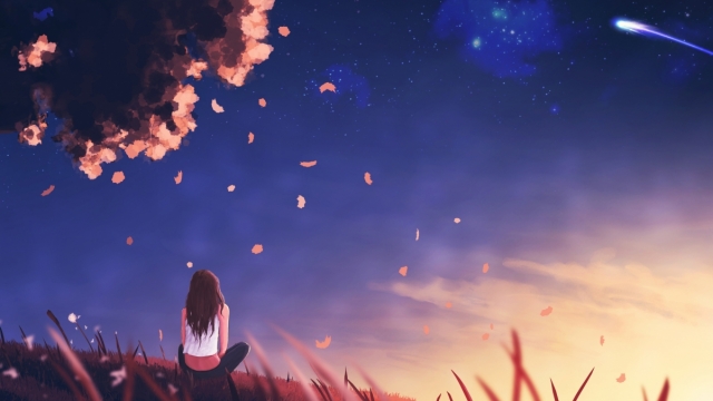 星空公司：无氧运动的健身器材