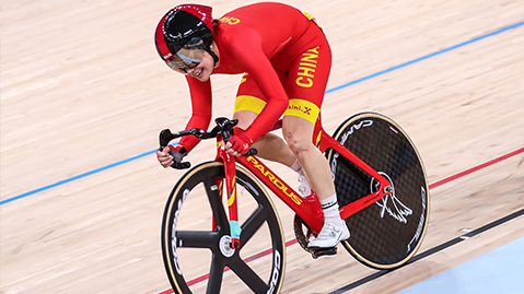 星空公司：室内墙体引体向上健身器材